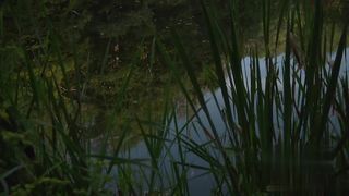 【69堂精品】少妇裸体虐待水喷逼深喉插逼操肛