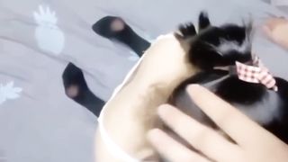 【69堂免费视频】【破处双马尾萝莉】处女血弄脏床“不要，好不舒服，哥哥不要”