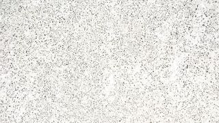 【69堂免费视频】两个骚女深夜驾车户外！没穿内裤塞着跳蛋！蹲着野外尿尿，深喉插嘴吐了，翘起屁股摸穴后入