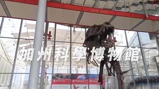 【69堂免费视频】下流母狗羞恥露出