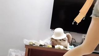 【69堂免费视频】汉服头饰配透视衫短牛仔_肉丝足交，超嫩一线天美鲍被哥哥大肉棒强硬输出