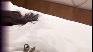 【69堂午夜视频】饥渴难耐的骚货 粉穴被干的淫水四溢