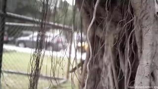 【69堂午夜视频】外挂牛铃当当当，凭铃声你能算出爵娜高潮次数吗