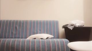 【69堂午夜视频】换上女仆装近距离口交沙发上操，上位骑乘后入大力猛操